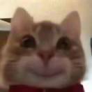 o.O