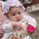 曾帆