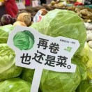 听风者    