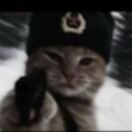 南风