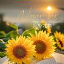 向阳?